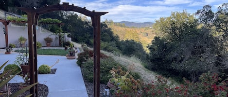 Welcome to our home in the beautiful Santa Cruz Mountains close to Monterey Bay 
