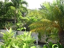 view of garden from veranda