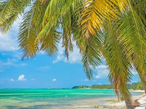 The Beach View