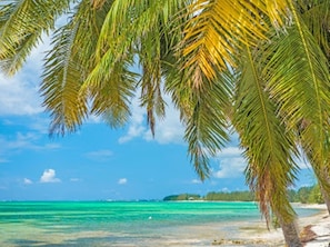 The Beach View