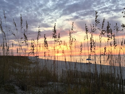 Beautiful Beach Front Condo at Gulf Shores Plantation Palms