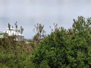 View from the porch - short walk to beach 