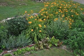 Summer gardens