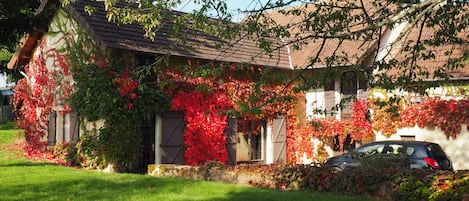 Ivy covered Cottage and yard in autumn / fall