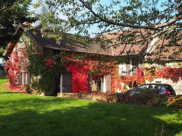 Ivy covered Cottage and yard in autumn / fall