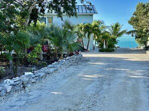 front yard 