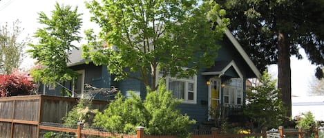 Country garden in full summer bloom