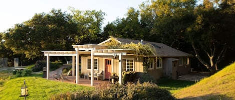 Front of house and all the rosemary you’ll ever need