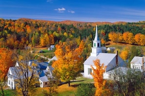 Vermont foliage at its peak.