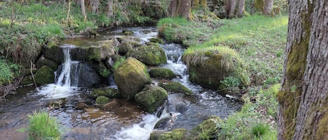 Jardines del alojamiento