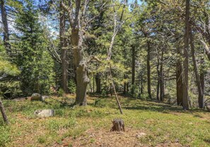 It’s a 14,000 sf lot with lots of trees and nature