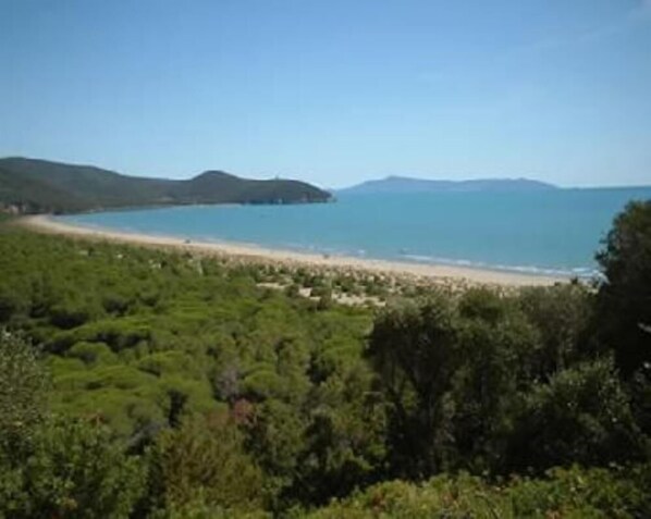 Strand im Naturpark in der Nähe von Montiano