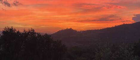 The best time of the day on the terrasse!