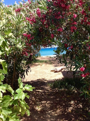 Studio on the right through the Oleander arch