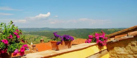 The terrace with view to the sea and Giglio island