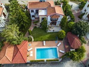 Drone vıew of Papaya 