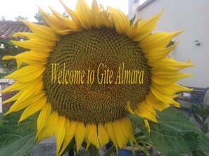 Welcome / Bienvenue to Gite Almara