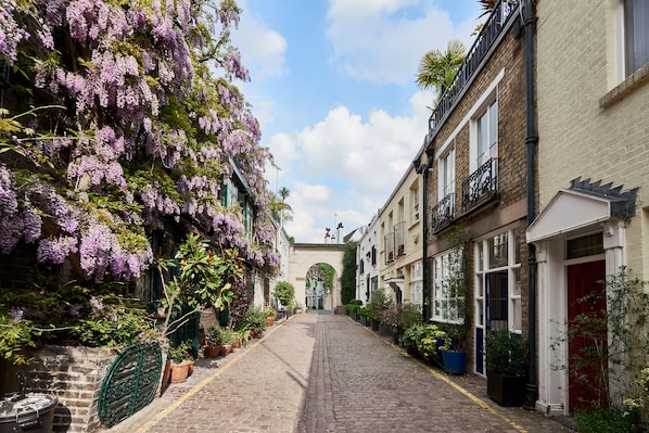 Wisteria heaven
