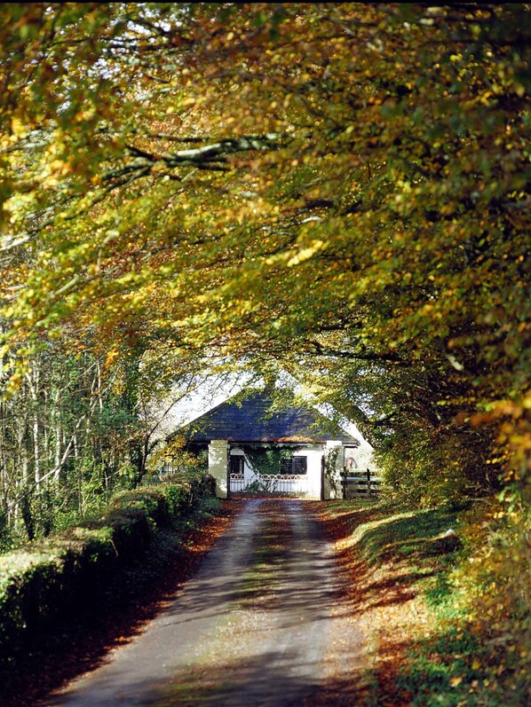 Udendørsområde
