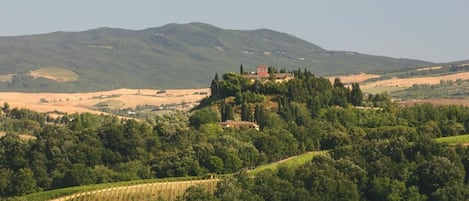 Beautiful Tuscan View from the Apartment