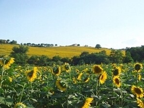 Terrenos do alojamento