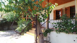 Steps to terrace and front door