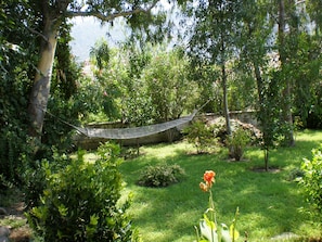 The garden