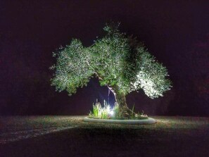 Boendeområde