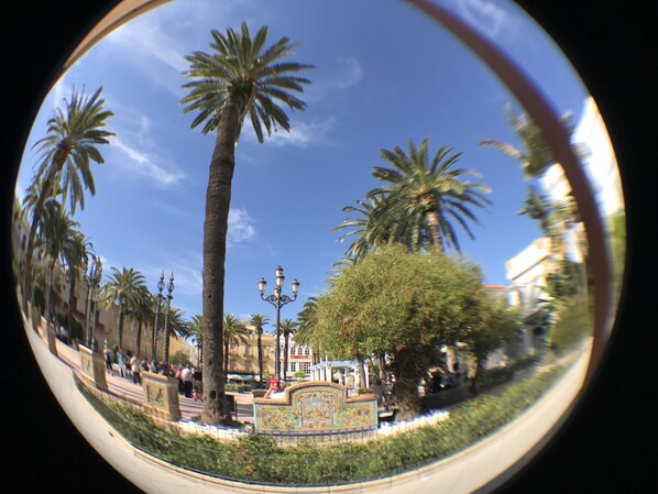 Laguna Square Ayamonte