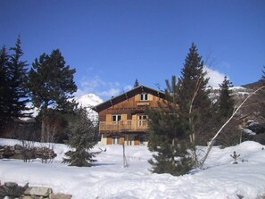 Jardin, Parc en hiver