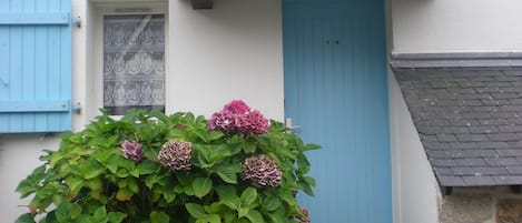 Detalj exteriör