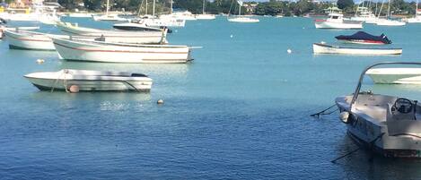 Seaview from apartment complex.