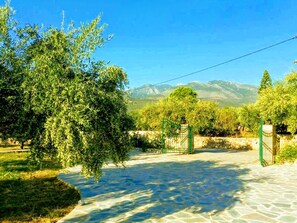 Villa Pefnos - set in its own olive grove with beautiful mountain views.