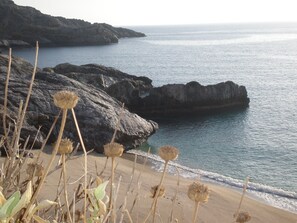 Strand