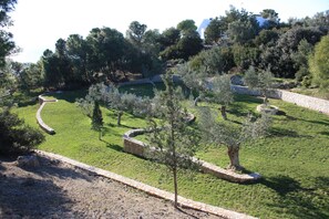 The southern part of the olive grove above the sea.