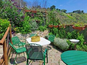 the garden equipped for breakfast and the sun