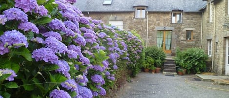 le gîte, au fond, bordé par une haie d'hortensia  