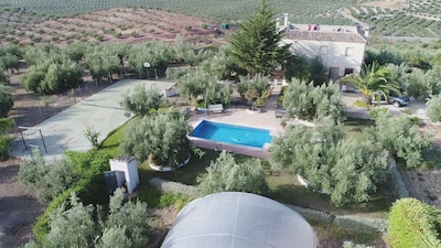 APARTMENT IN ECOLOGICAL AGROTURISMO PLACED IN THE GEOGRAPHICAL CENTER OF IDEAL ANDALUSIA FOR EXCURSIONS FOR ANDALUSIA