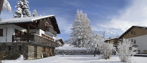 Chalet et son jardin, hiver