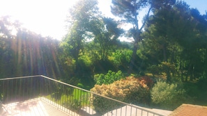 View of the large secure garden from the bedroom terraces