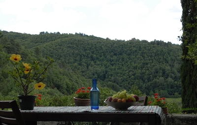 Dúplex en Chianti, rodeado de verdes bosques y viñedos