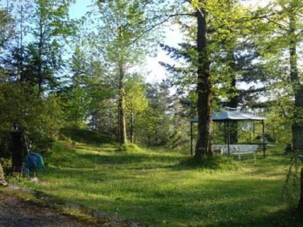 Garden, Park