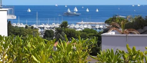 terrasse vue sur le port