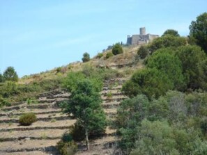 Vue montagne
