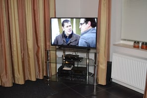Television