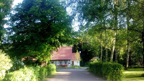 Exteriör
