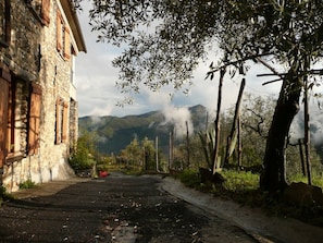 Esterni