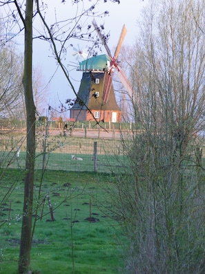 Área infantil