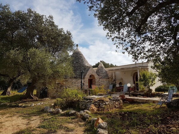 Trullo mit  Lamia im immergrünen Olivenhain