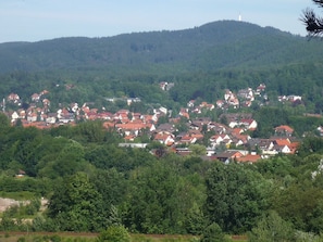 Uitzicht vanaf de Sachsenstein op Bad Sachsa